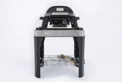 Weber Pulse 2000 Met Stand