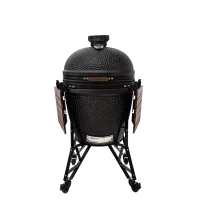 Weber Go-Anywhere Gasversie - Afbeelding 18