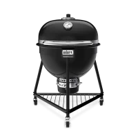 Weber GBS Premium SE E-5775 - Afbeelding 19